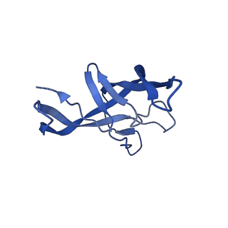 10443_6tba_3A_v1-2
Virion of native gene transfer agent (GTA) particle