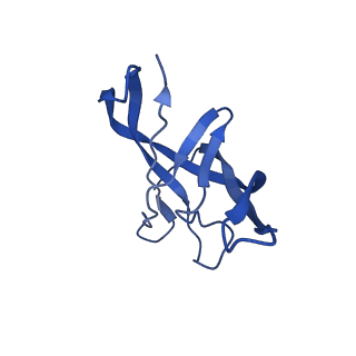 10443_6tba_3B_v1-2
Virion of native gene transfer agent (GTA) particle
