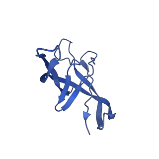 10443_6tba_3E_v1-2
Virion of native gene transfer agent (GTA) particle