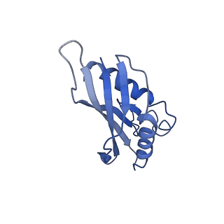 10443_6tba_4B_v1-2
Virion of native gene transfer agent (GTA) particle