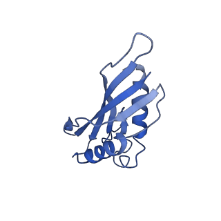 10443_6tba_4C_v1-2
Virion of native gene transfer agent (GTA) particle