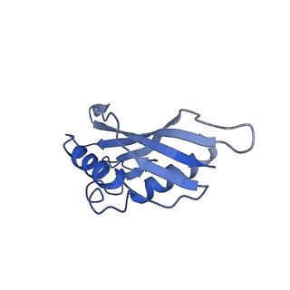 10443_6tba_4D_v1-2
Virion of native gene transfer agent (GTA) particle