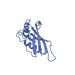 10443_6tba_4E_v1-2
Virion of native gene transfer agent (GTA) particle