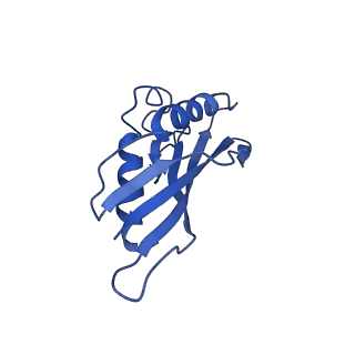 10443_6tba_4F_v1-2
Virion of native gene transfer agent (GTA) particle