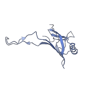 10443_6tba_50_v1-2
Virion of native gene transfer agent (GTA) particle