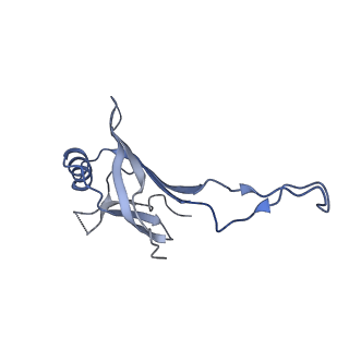 10443_6tba_53_v1-2
Virion of native gene transfer agent (GTA) particle