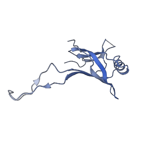 10443_6tba_5A_v1-2
Virion of native gene transfer agent (GTA) particle