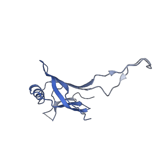 10443_6tba_5D_v1-2
Virion of native gene transfer agent (GTA) particle