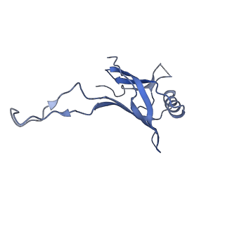 10443_6tba_5N_v1-2
Virion of native gene transfer agent (GTA) particle