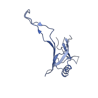 10443_6tba_5O_v1-2
Virion of native gene transfer agent (GTA) particle