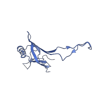 10443_6tba_5Q_v1-2
Virion of native gene transfer agent (GTA) particle