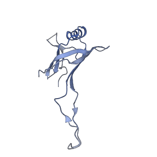 10443_6tba_5S_v1-2
Virion of native gene transfer agent (GTA) particle