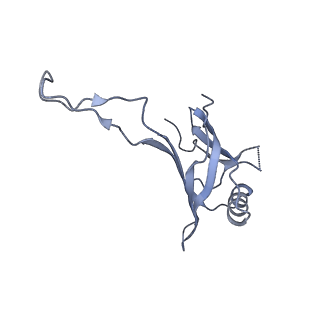 10443_6tba_5U_v1-2
Virion of native gene transfer agent (GTA) particle