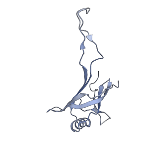 10443_6tba_5V_v1-2
Virion of native gene transfer agent (GTA) particle