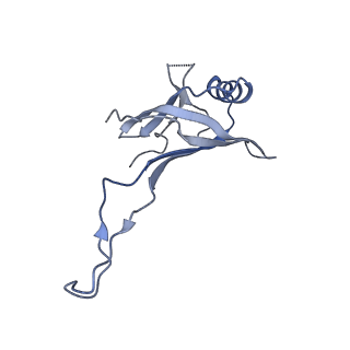 10443_6tba_5Z_v1-2
Virion of native gene transfer agent (GTA) particle