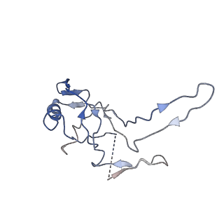 10443_6tba_6A_v1-2
Virion of native gene transfer agent (GTA) particle