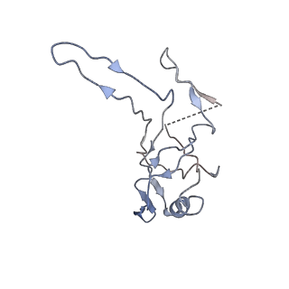 10443_6tba_6E_v1-2
Virion of native gene transfer agent (GTA) particle