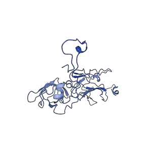 10443_6tba_7A_v1-2
Virion of native gene transfer agent (GTA) particle