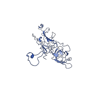 10443_6tba_7C_v1-2
Virion of native gene transfer agent (GTA) particle