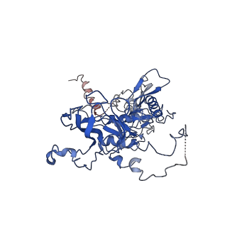 10443_6tba_8A_v1-2
Virion of native gene transfer agent (GTA) particle