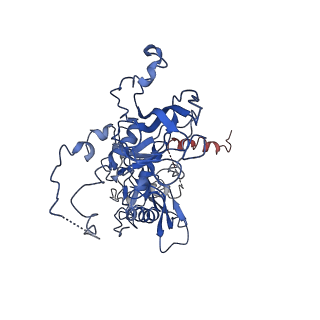 10443_6tba_8B_v1-2
Virion of native gene transfer agent (GTA) particle