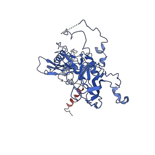 10443_6tba_8C_v1-2
Virion of native gene transfer agent (GTA) particle