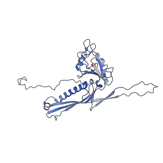 10443_6tba_A5_v1-2
Virion of native gene transfer agent (GTA) particle