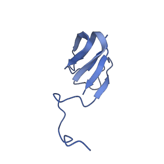 10443_6tba_A8_v1-2
Virion of native gene transfer agent (GTA) particle