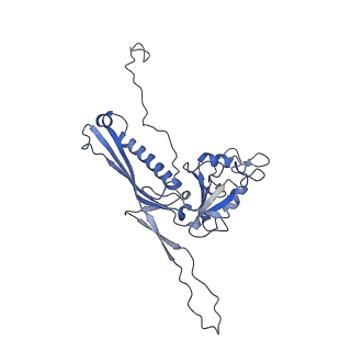 10443_6tba_AA_v1-2
Virion of native gene transfer agent (GTA) particle