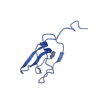 10443_6tba_AB_v1-2
Virion of native gene transfer agent (GTA) particle