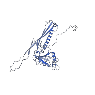 10443_6tba_AF_v1-2
Virion of native gene transfer agent (GTA) particle