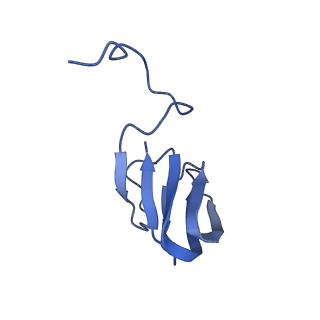 10443_6tba_AI_v1-2
Virion of native gene transfer agent (GTA) particle