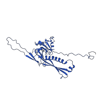 10443_6tba_AJ_v1-2
Virion of native gene transfer agent (GTA) particle