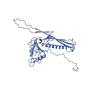 10443_6tba_AK_v1-2
Virion of native gene transfer agent (GTA) particle
