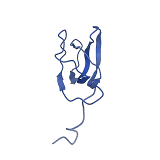 10443_6tba_AL_v1-2
Virion of native gene transfer agent (GTA) particle