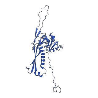 10443_6tba_AO_v1-2
Virion of native gene transfer agent (GTA) particle