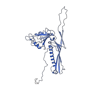 10443_6tba_AP_v1-2
Virion of native gene transfer agent (GTA) particle