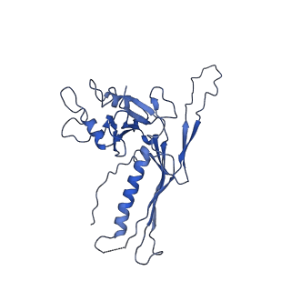 10443_6tba_B5_v1-2
Virion of native gene transfer agent (GTA) particle