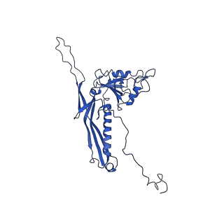 10443_6tba_B9_v1-2
Virion of native gene transfer agent (GTA) particle