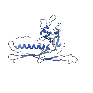 10443_6tba_BA_v1-2
Virion of native gene transfer agent (GTA) particle