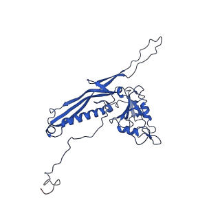 10443_6tba_BE_v1-2
Virion of native gene transfer agent (GTA) particle