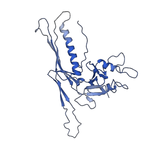 10443_6tba_BF_v1-2
Virion of native gene transfer agent (GTA) particle