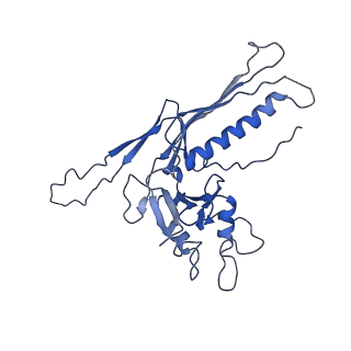 10443_6tba_BK_v1-2
Virion of native gene transfer agent (GTA) particle