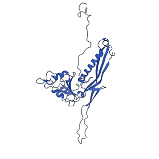 10443_6tba_BO_v1-2
Virion of native gene transfer agent (GTA) particle