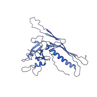 10443_6tba_BP_v1-2
Virion of native gene transfer agent (GTA) particle