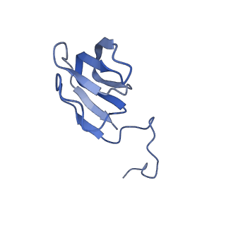 10443_6tba_C2_v1-2
Virion of native gene transfer agent (GTA) particle