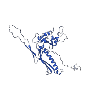 10443_6tba_C4_v1-2
Virion of native gene transfer agent (GTA) particle