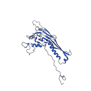 10443_6tba_C5_v1-2
Virion of native gene transfer agent (GTA) particle