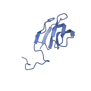 10443_6tba_C7_v1-2
Virion of native gene transfer agent (GTA) particle