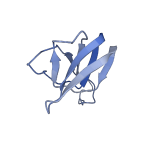 10443_6tba_C8_v1-2
Virion of native gene transfer agent (GTA) particle